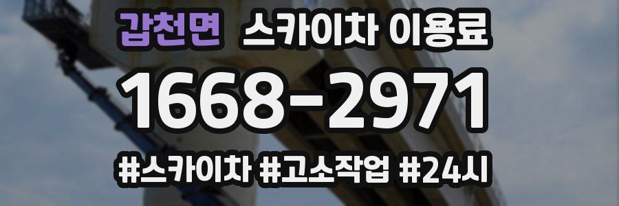 갑천면 스카이차 이용료