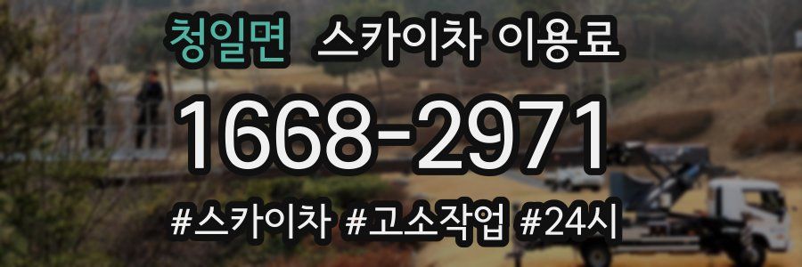 청일면 스카이차 이용료