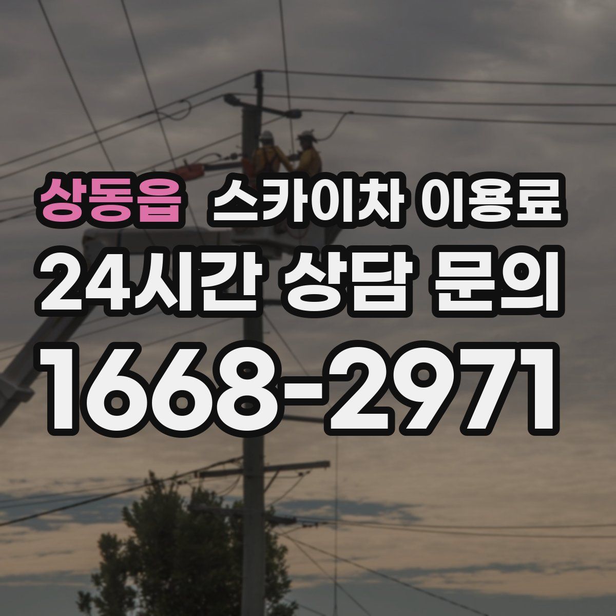 상동읍 스카이차 이용료