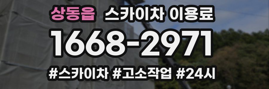 상동읍 스카이차 이용료