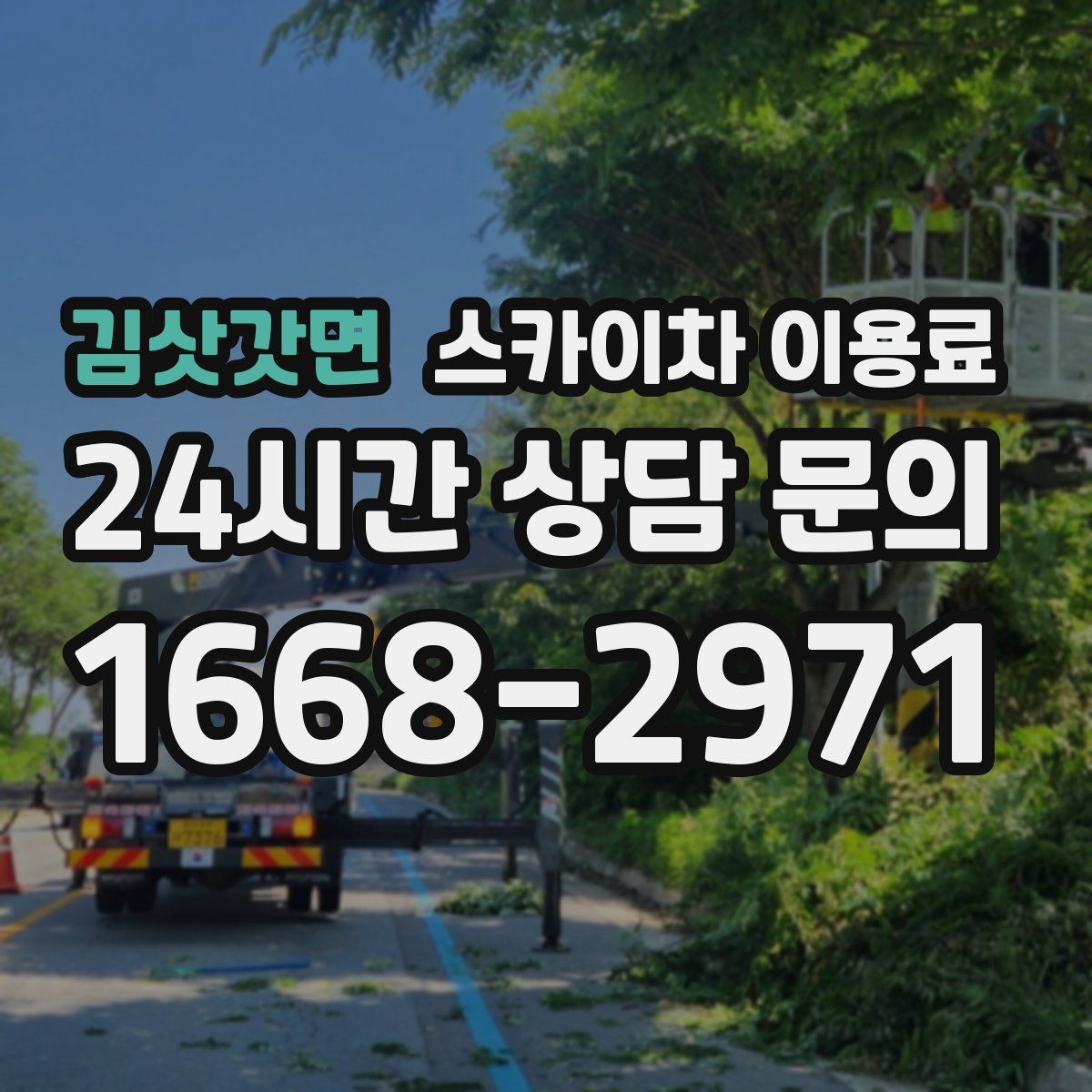 김삿갓면 스카이차 이용료