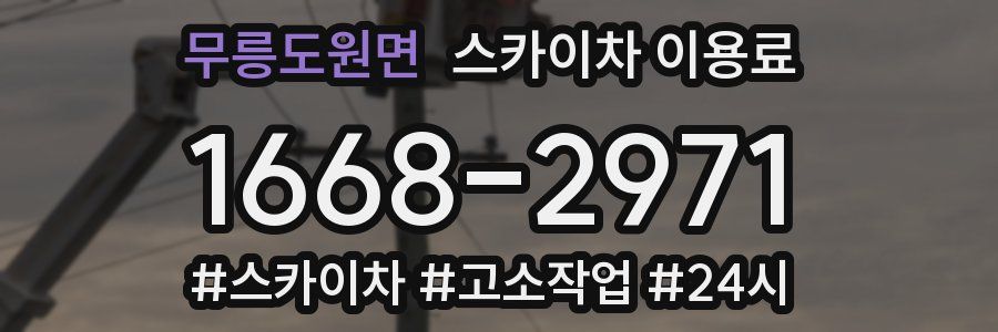 무릉도원면 스카이차 이용료