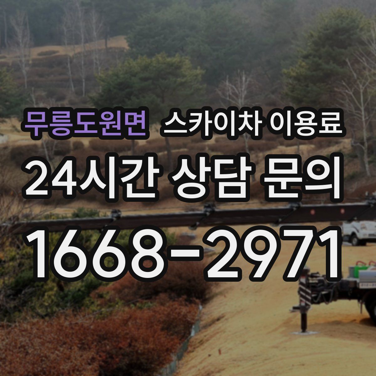 무릉도원면 스카이차 이용료