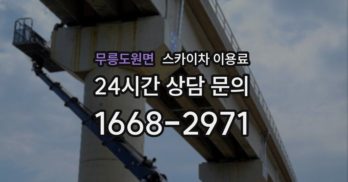 무릉도원면 스카이차 이용료