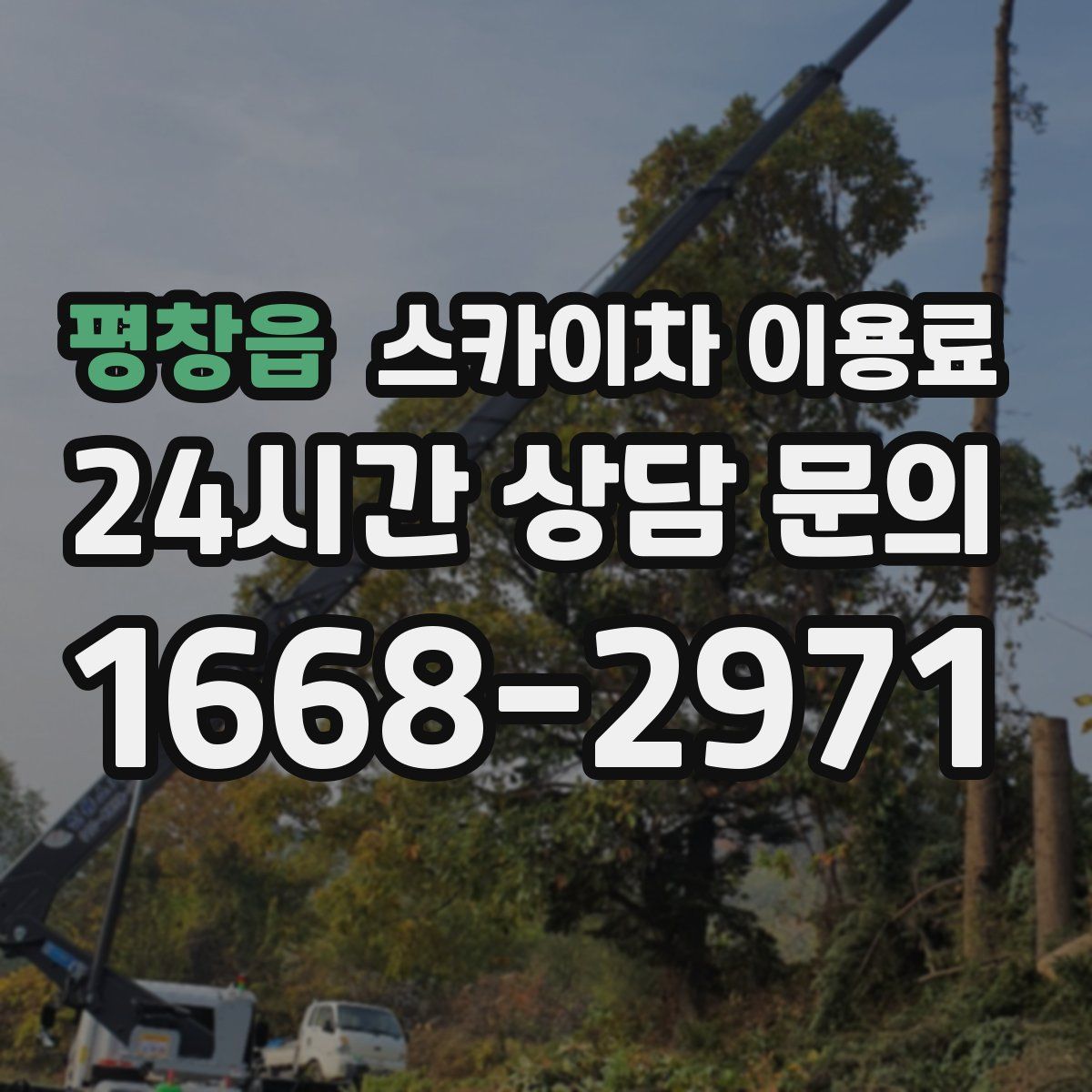 평창읍 스카이차 이용료
