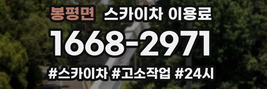 봉평면 스카이차 이용료