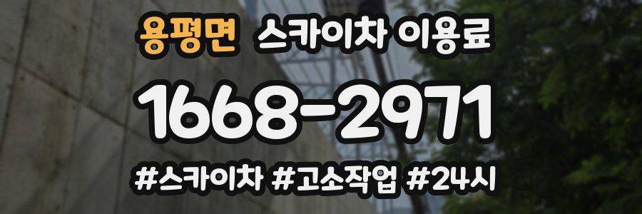 용평면 스카이차 이용료