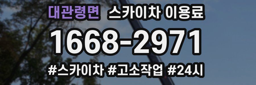 대관령면 스카이차 이용료