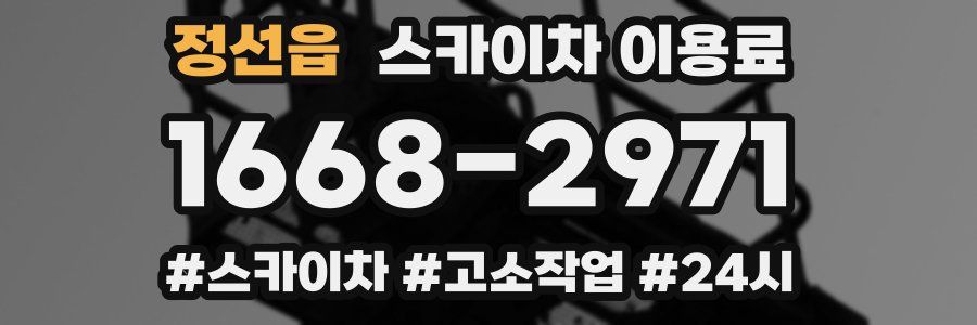 정선읍 스카이차 이용료