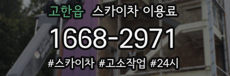 고한읍 스카이차 이용료