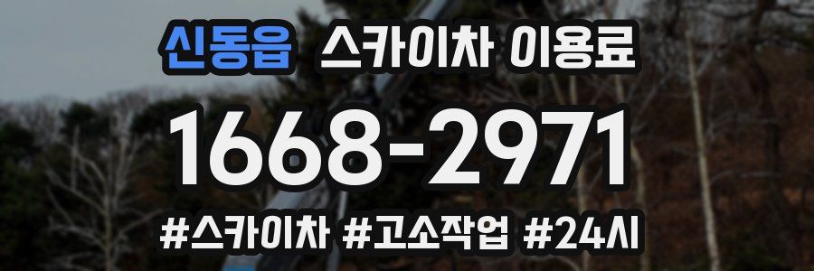 신동읍 스카이차 이용료