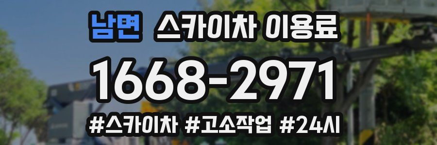 남면 스카이차 이용료