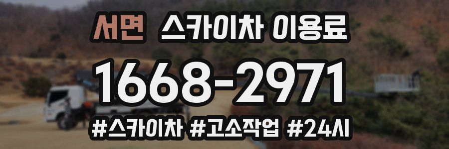 서면 스카이차 이용료