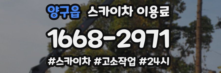 양구읍 스카이차 이용료