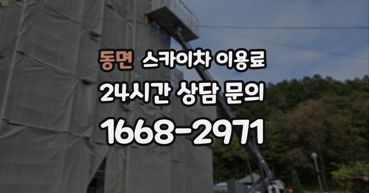 동면 스카이차 이용료