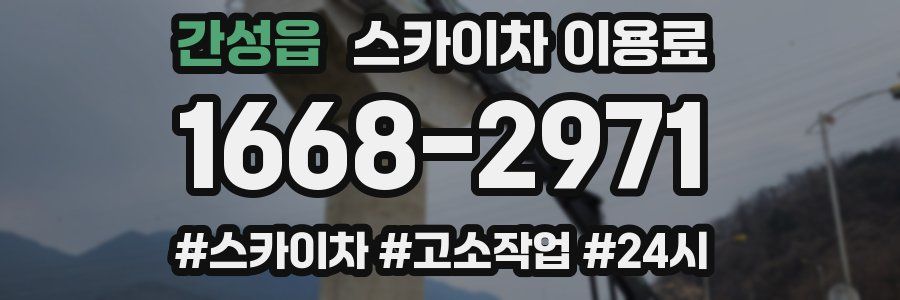 간성읍 스카이차 이용료
