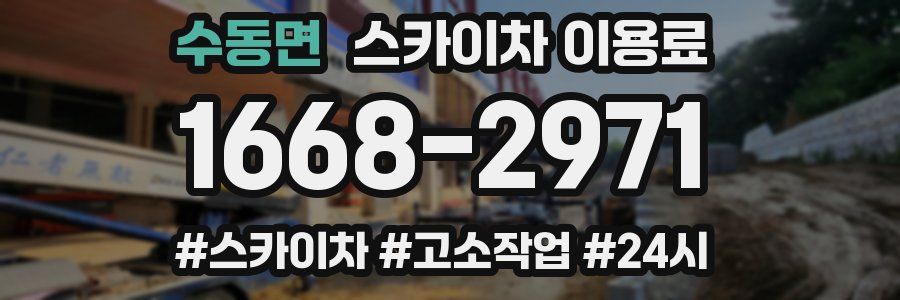 수동면 스카이차 이용료