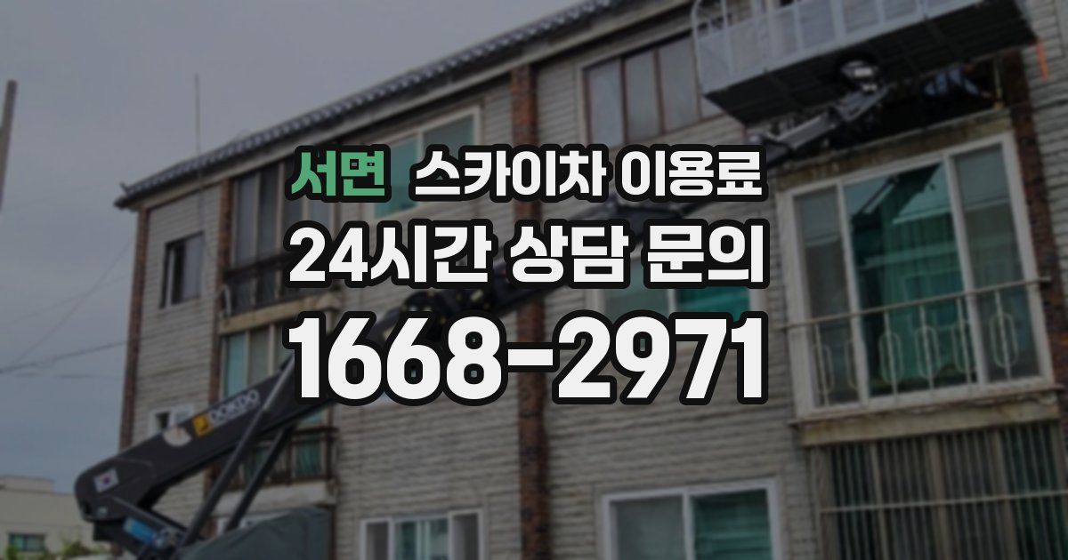 서면 스카이차 이용료