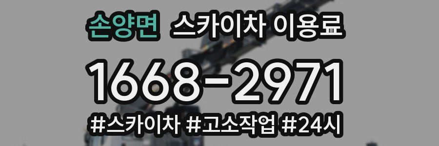 손양면 스카이차 이용료