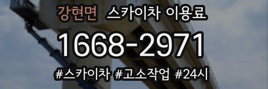 강현면 스카이차 이용료