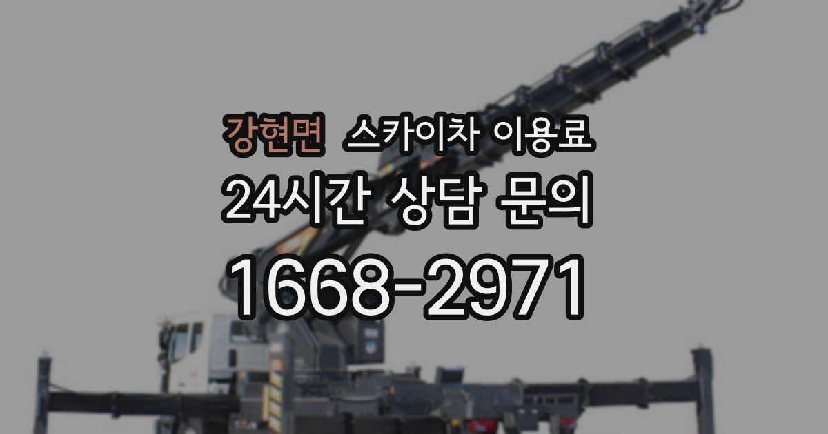 강현면 스카이차 이용료