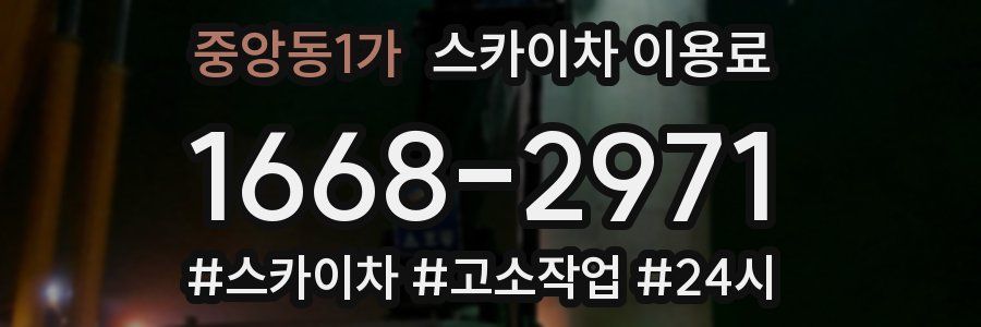 중앙동1가 스카이차 이용료