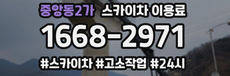 중앙동2가 스카이차 이용료