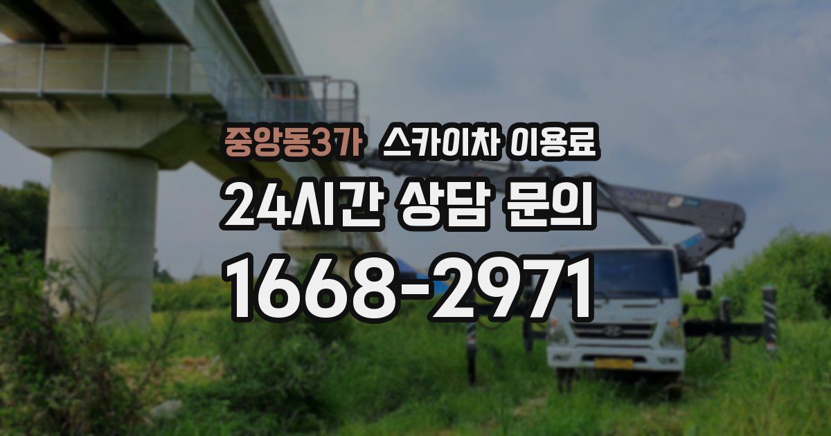중앙동3가 스카이차 이용료