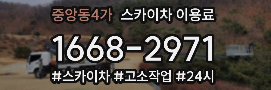 중앙동4가 스카이차 이용료