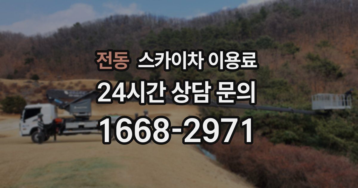 전동 스카이차 이용료
