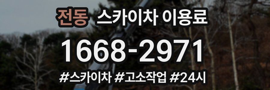 전동 스카이차 이용료