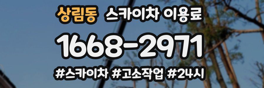 상림동 스카이차 이용료