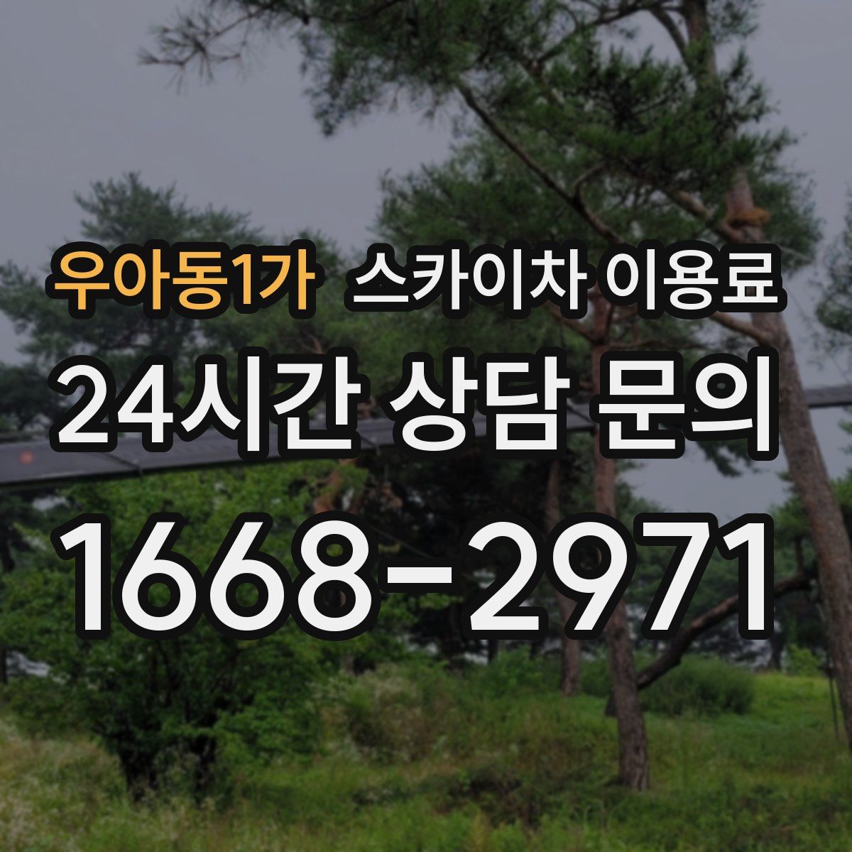 우아동1가 스카이차 이용료