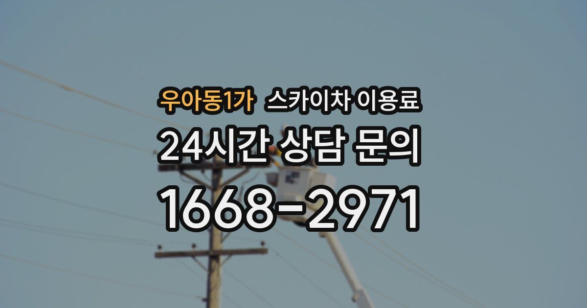 우아동1가 스카이차 이용료