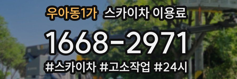 우아동1가 스카이차 이용료