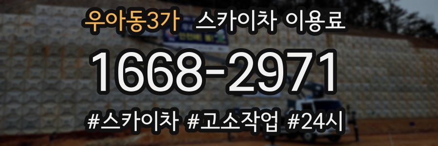 우아동3가 스카이차 이용료