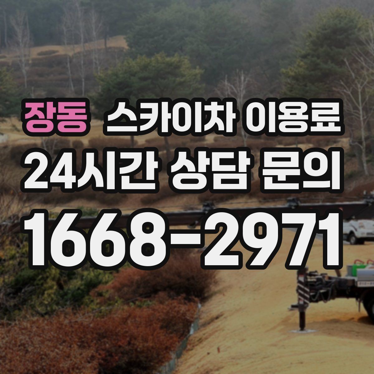 장동 스카이차 이용료 선택 전에 비교할 요소