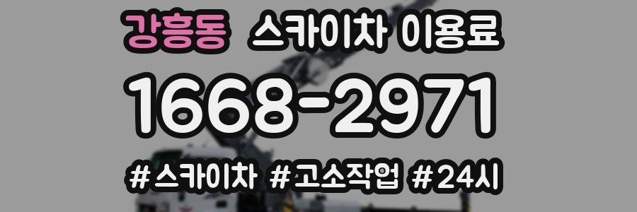 강흥동 스카이차 이용료