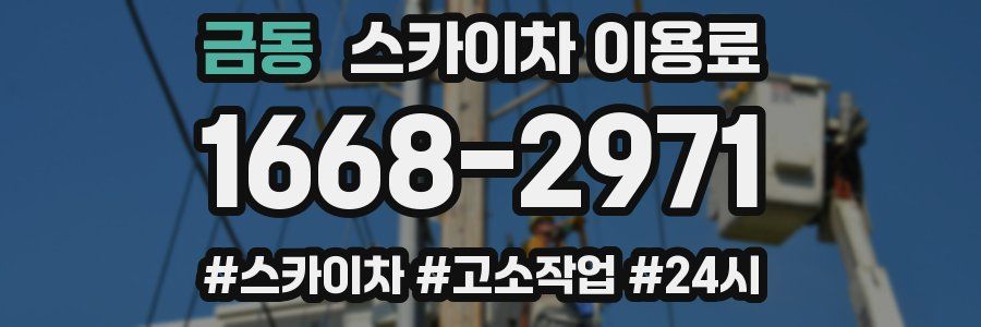금동 스카이차 이용료
