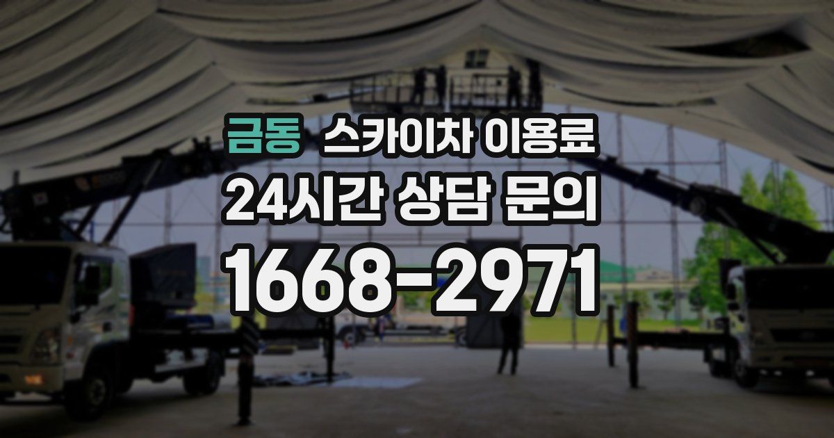 금동 스카이차 이용료
