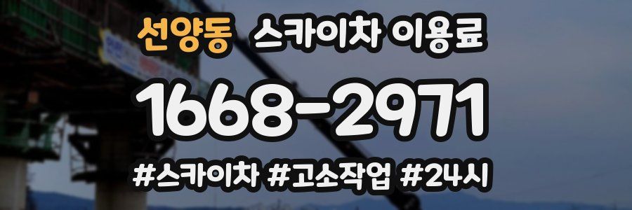 선양동 스카이차 이용료