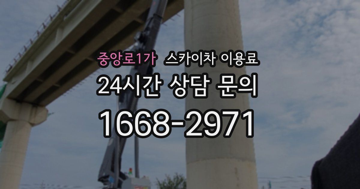 중앙로1가 스카이차 이용료