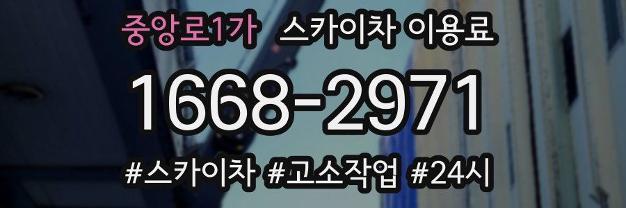중앙로1가 스카이차 이용료