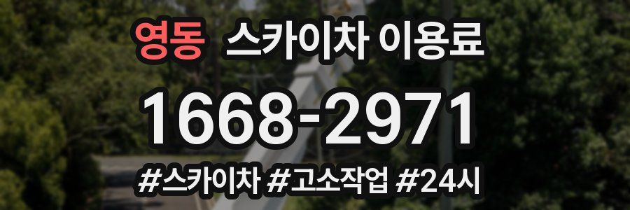 영동 스카이차 이용료