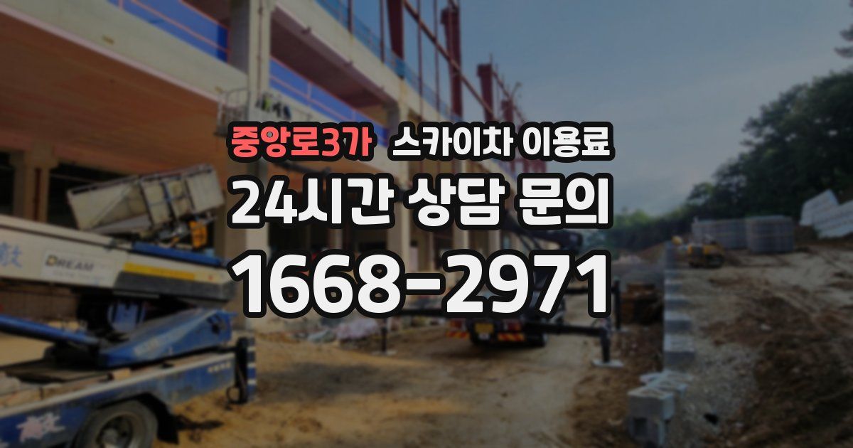 중앙로3가 스카이차 이용료