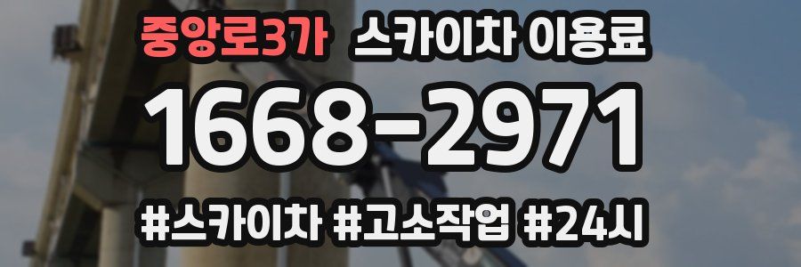 중앙로3가 스카이차 이용료