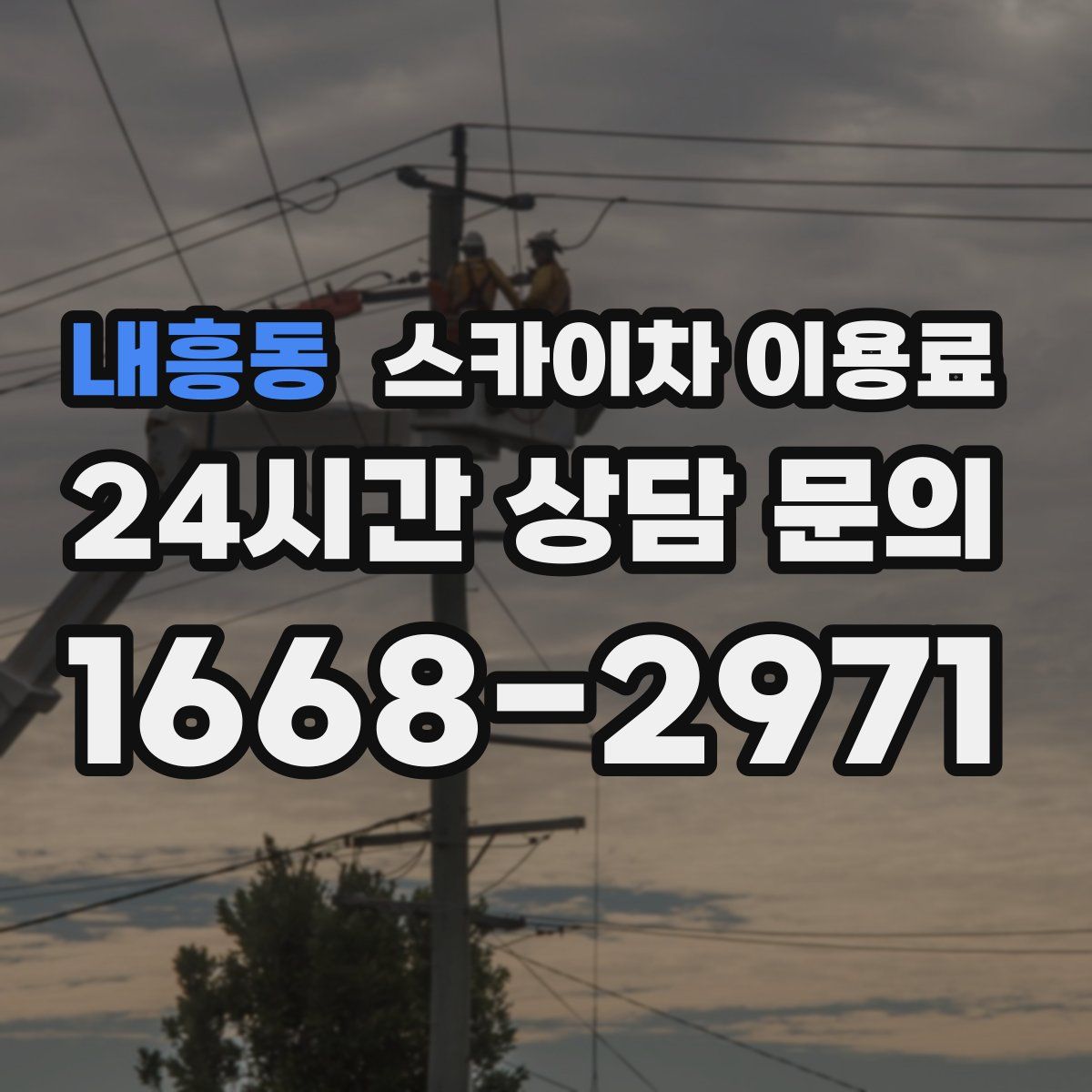 내흥동 스카이차 이용료