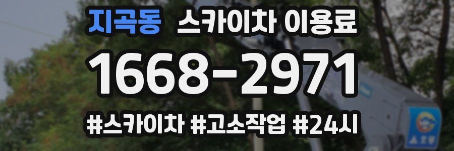 지곡동 스카이차 이용료