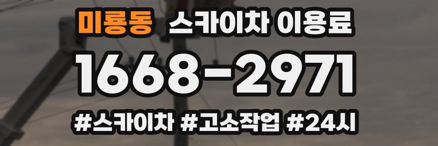 미룡동 스카이차 이용료