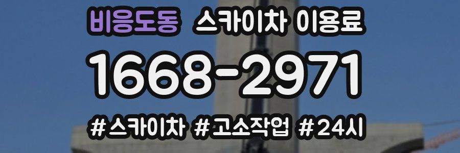비응도동 스카이차 이용료